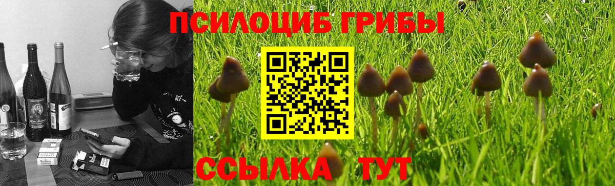 Псилоцибиновые грибы ЛСД  Вход с VPN  Великий Устюг 